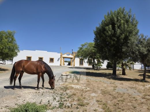 Rural or Farmhouse in Morón de la Frontera, Province of Seville
