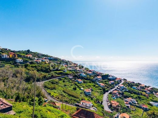 빌라 / Ribeira Brava, Madeira