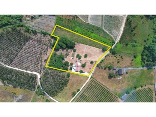 Luxury home in Azambuja, Lisbon