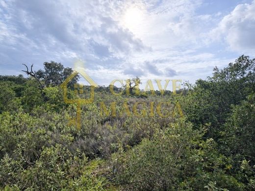 Land in Olhão, Distrito de Faro