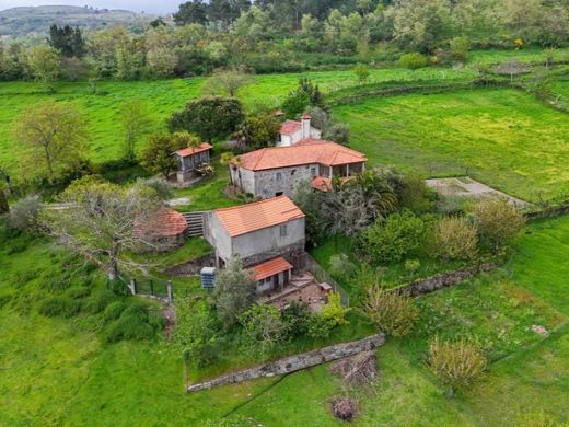 Luxe woning in Resende, Distrito de Viseu