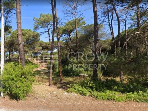 Land in Loulé, Distrito de Faro