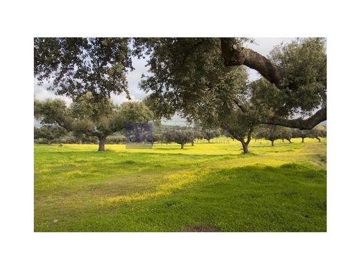 Ρουστίκ ή Αγροικίες σε Navalmoral de la Mata, Provincia de Cáceres