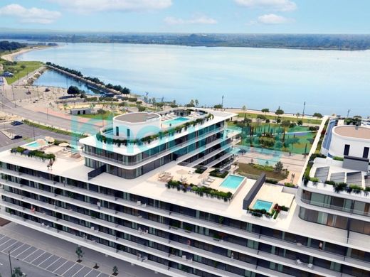 Daire Barreiro, Distrito de Setúbal