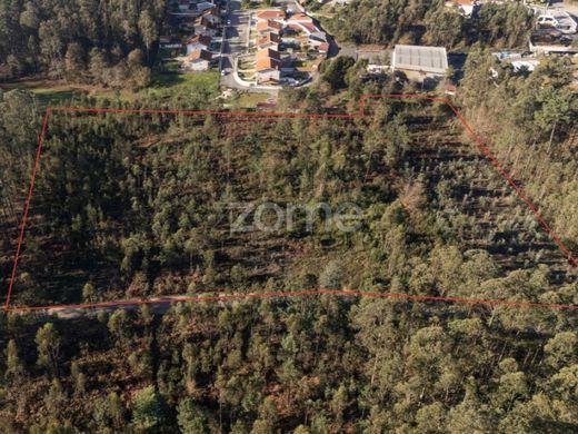 Teren w Santa Maria da Feira, Distrito de Aveiro