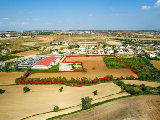 Arsa Larnaka, Eparchía Lárnakas