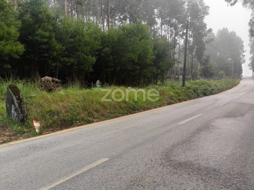 Teren w Santa Maria da Feira, Distrito de Aveiro