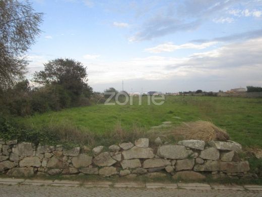 Αγροτεμάχιο σε Matosinhos, Distrito do Porto