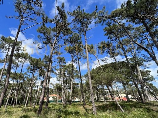 Land in Sintra, Lisbon