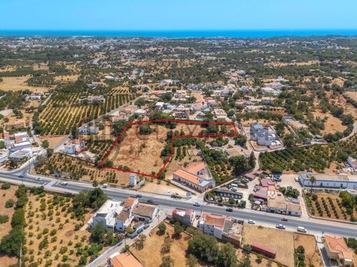 地皮  洛萊, Loulé