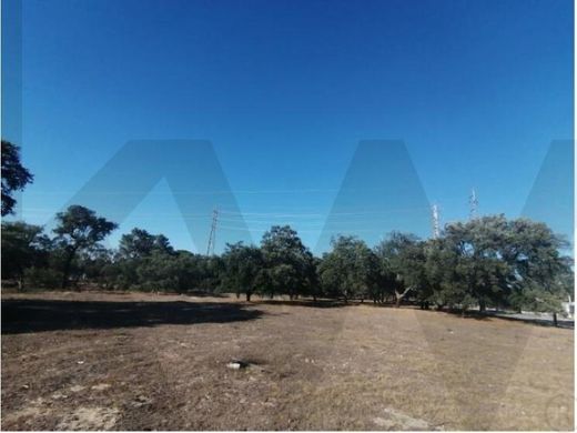 Terreno en Palmela, Setúbal
