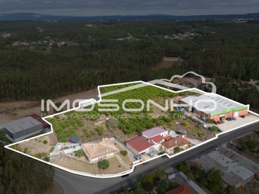 Элитный дом, Помбал, Pombal