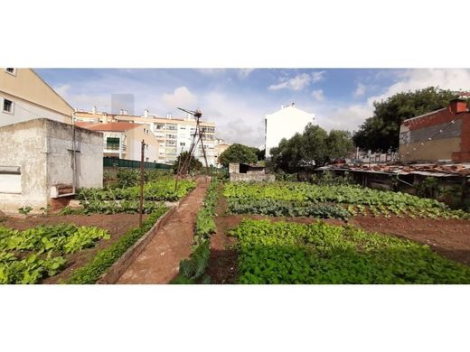 Terreno - Sintra, Lisboa