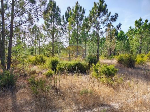 Terreno - Grândola, Setúbal