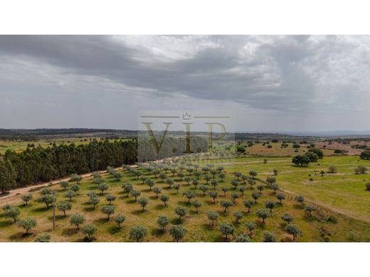 Teren w Idanha-a-Nova, Idanha-A-Nova