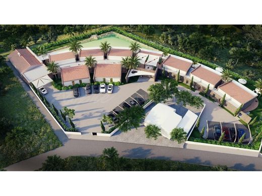 地皮  洛萊, Loulé