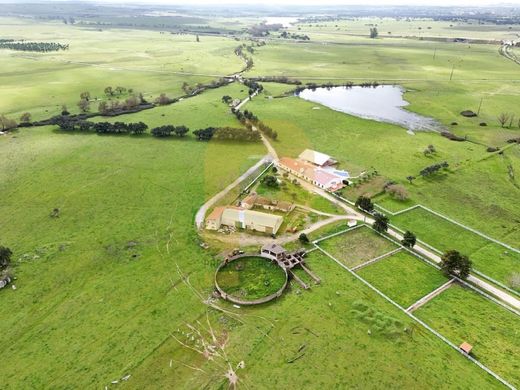 Farma w Évora, Distrito de Évora