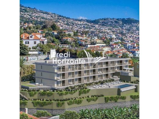 Apartamento - Funchal, Madeira