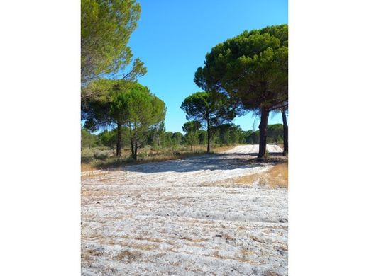 Grond in Grândola, Distrito de Setúbal