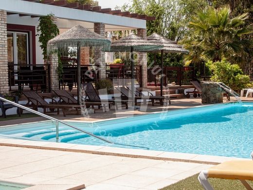 Farm in Santiago do Cacém, Distrito de Setúbal