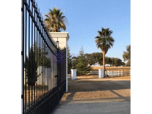 Luxe woning in Cañaveral, Provincia de Cáceres