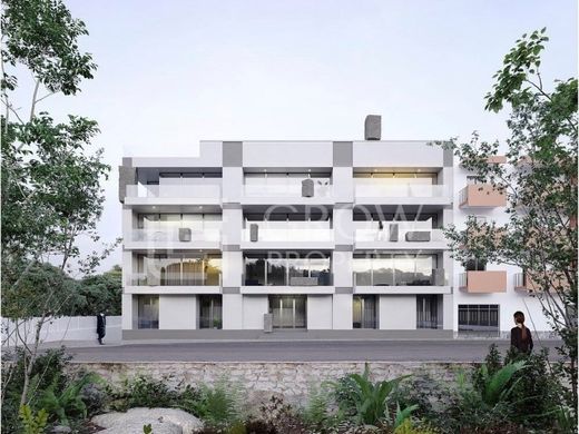 Teren w Faro, Distrito de Faro