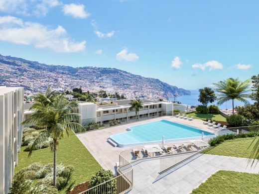 Apartment / Etagenwohnung in Funchal, Madeira
