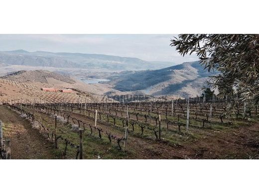 Casa de lujo en Vila Flor, Miranda do Corvo