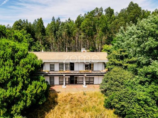 ‏בתי יוקרה ב  Figueiró dos Vinhos, Figueiró Dos Vinhos