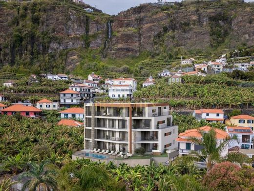 Apartment / Etagenwohnung in Ponta do Sol, Madeira