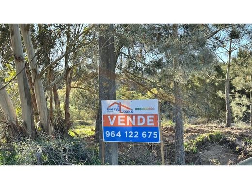 Terrain à Óbidos, Distrito de Leiria