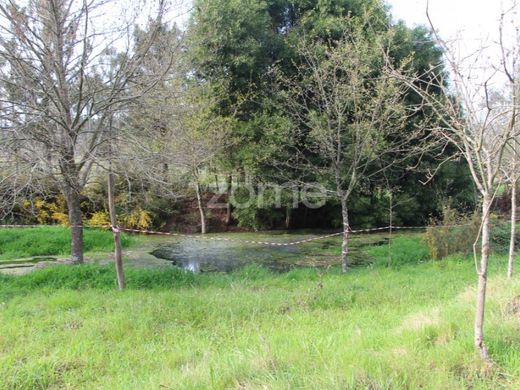 Luxe woning in Viseu, Distrito de Viseu