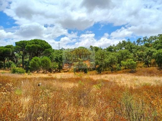 Terreno a Grândola, Distrito de Setúbal