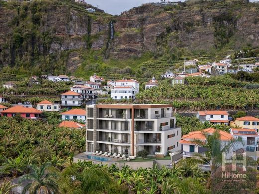 Apartment in Ponta do Sol, Madeira