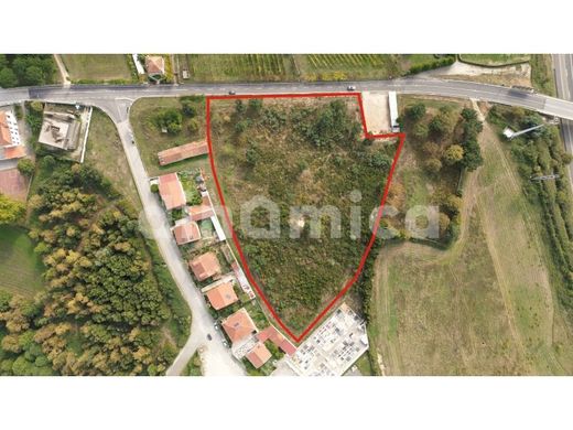 Terrain à Santo Tirso, Distrito do Porto