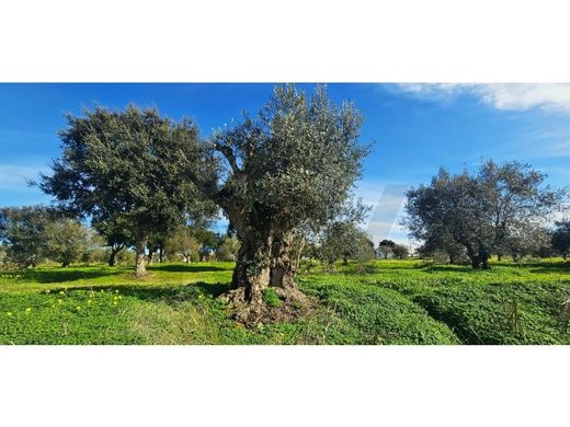 Land in Grândola, Distrito de Setúbal
