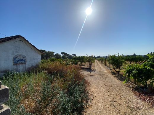 Grond in Setúbal, Distrito de Setúbal