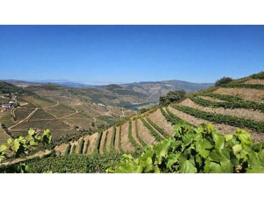 地皮  São João da Pesqueira, Distrito de Viseu