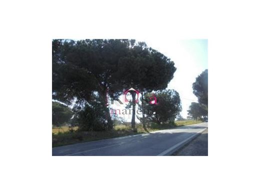Land in Palmela, Distrito de Setúbal
