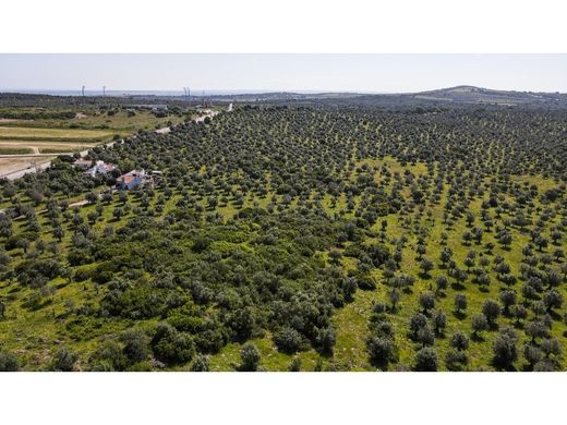Grond in Estremoz, Distrito de Évora