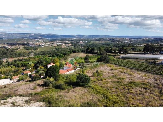 Grond in Alcobaça, Distrito de Leiria