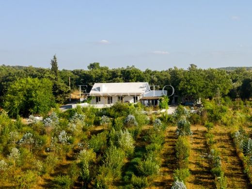 Luxury home in Montemor-o-Novo, Montemor-O-Novo