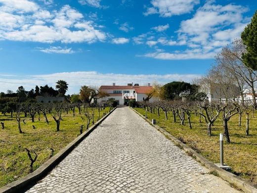 Luksusowy dom w Alenquer, Distrito de Lisboa