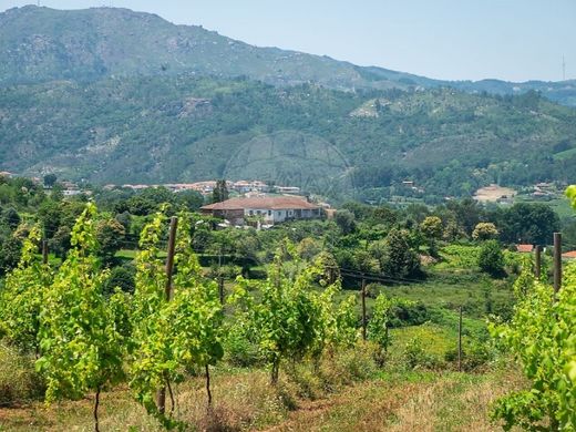호화 저택 / Cabeceiras de Basto, Distrito de Braga