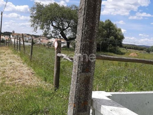 ‏קרקע ב  Montemor-o-Novo, Montemor-O-Novo