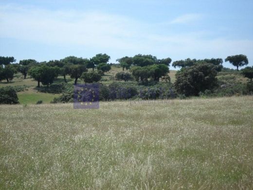 Rural ou fazenda - Navalmoral de la Mata, Provincia de Cáceres