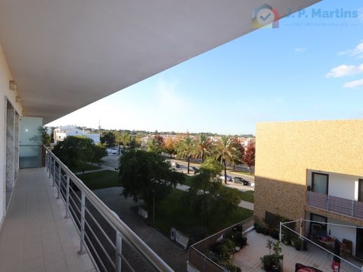 Daire Palmela, Distrito de Setúbal