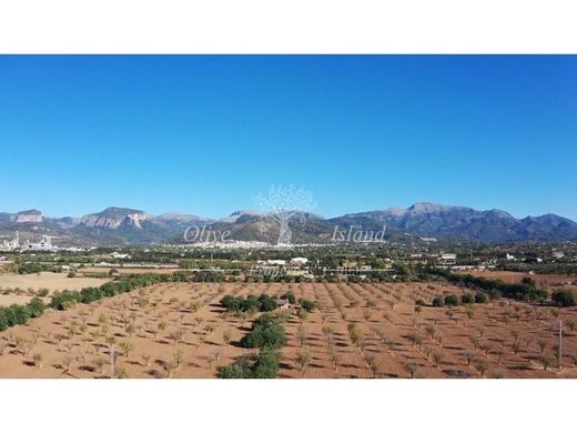 Inca, Illes Balearsの土地