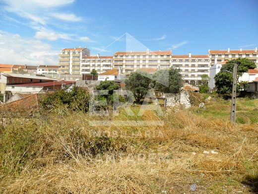 Land in Santarém, Distrito de Santarém