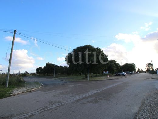 Land in Benavente, Distrito de Santarém